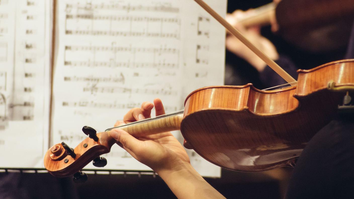 Viola, violino