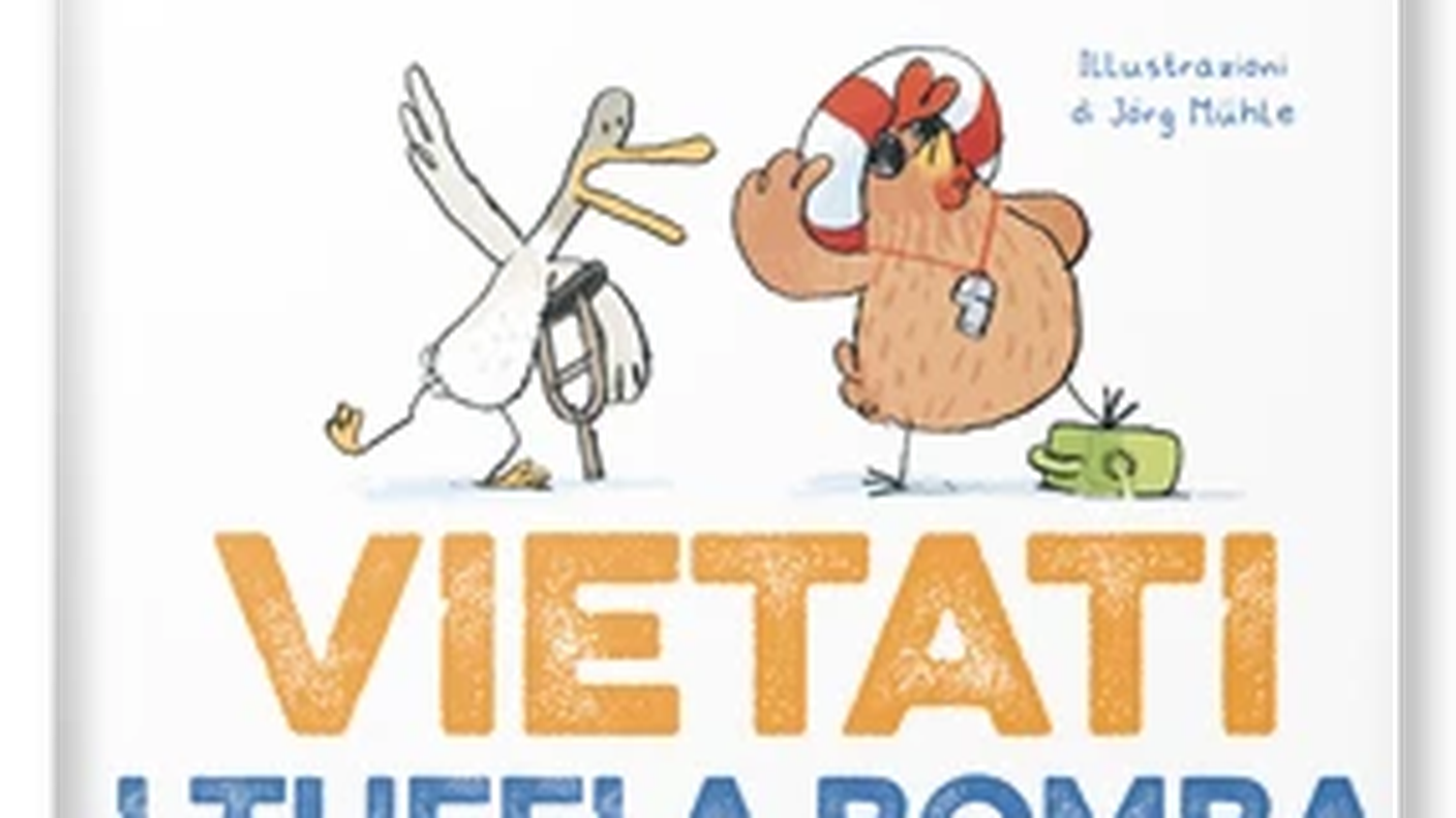 "Vietati i tuffi a bomba", di Urlich Hub, Rizzoli (dettaglio di copertina)