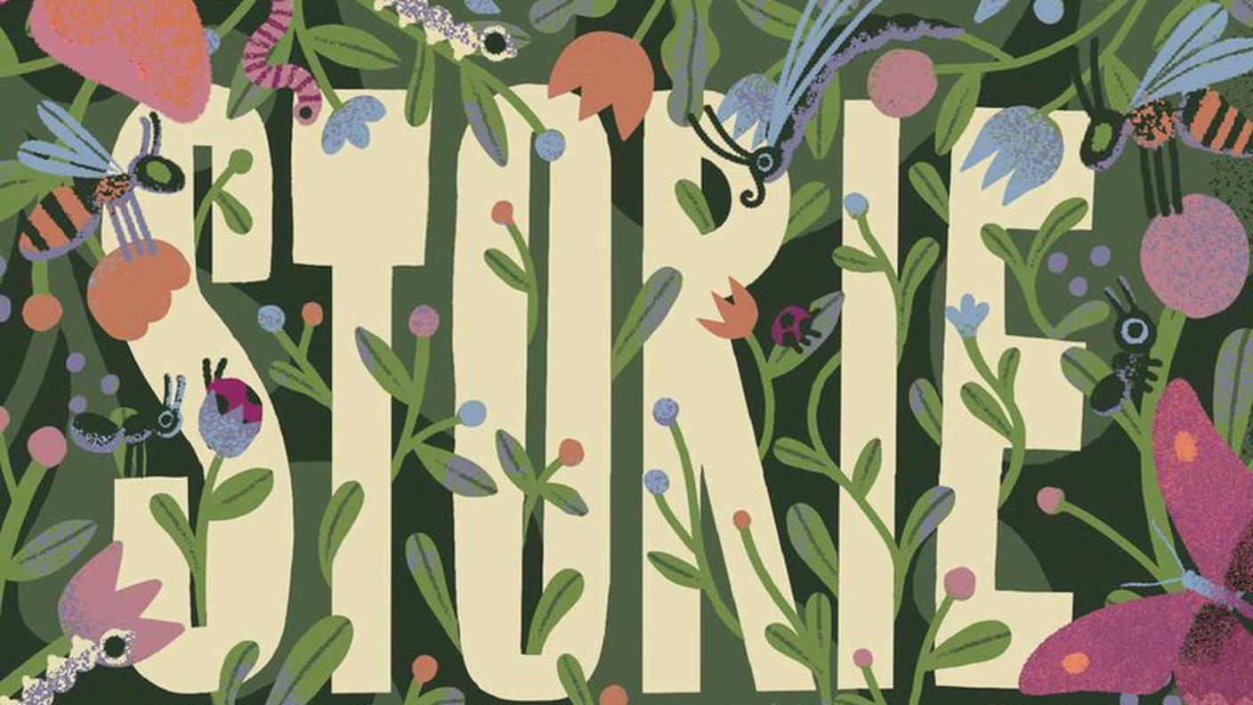 Gianumberto Accinelli: “Storie di ordinaria entomologia. L’incredibile scienza degli insetti”, Nomos Editore (Dettaglio copertina)