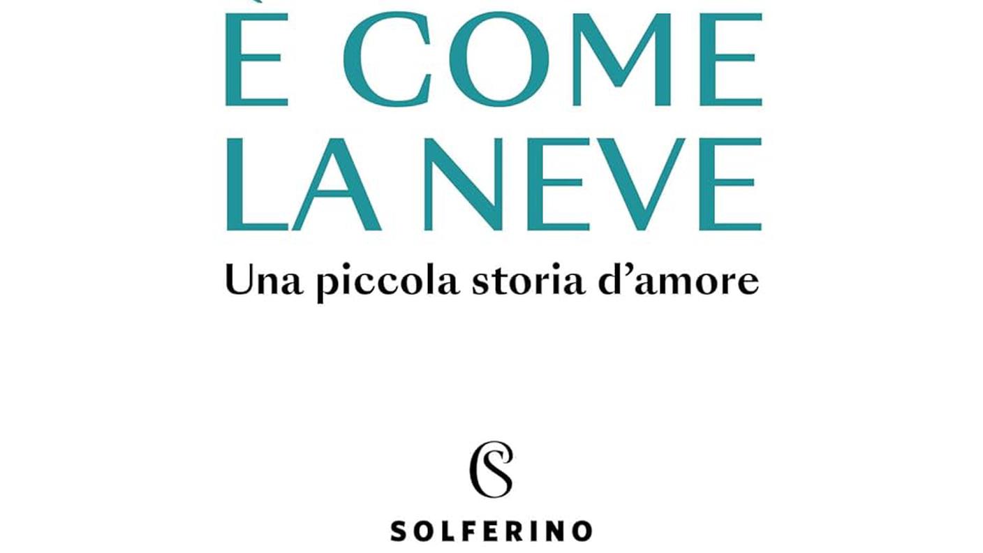 “È come la neve” di Cristina Petit e Matteo Maria Zuppi, Solferino (dettaglio di copertina)