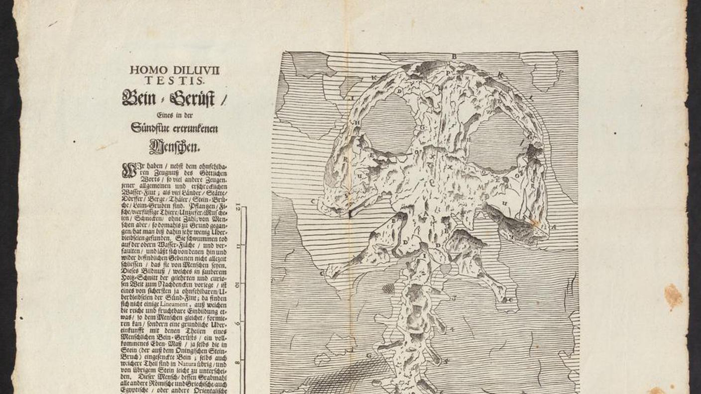 Il più antico fossile del mondo