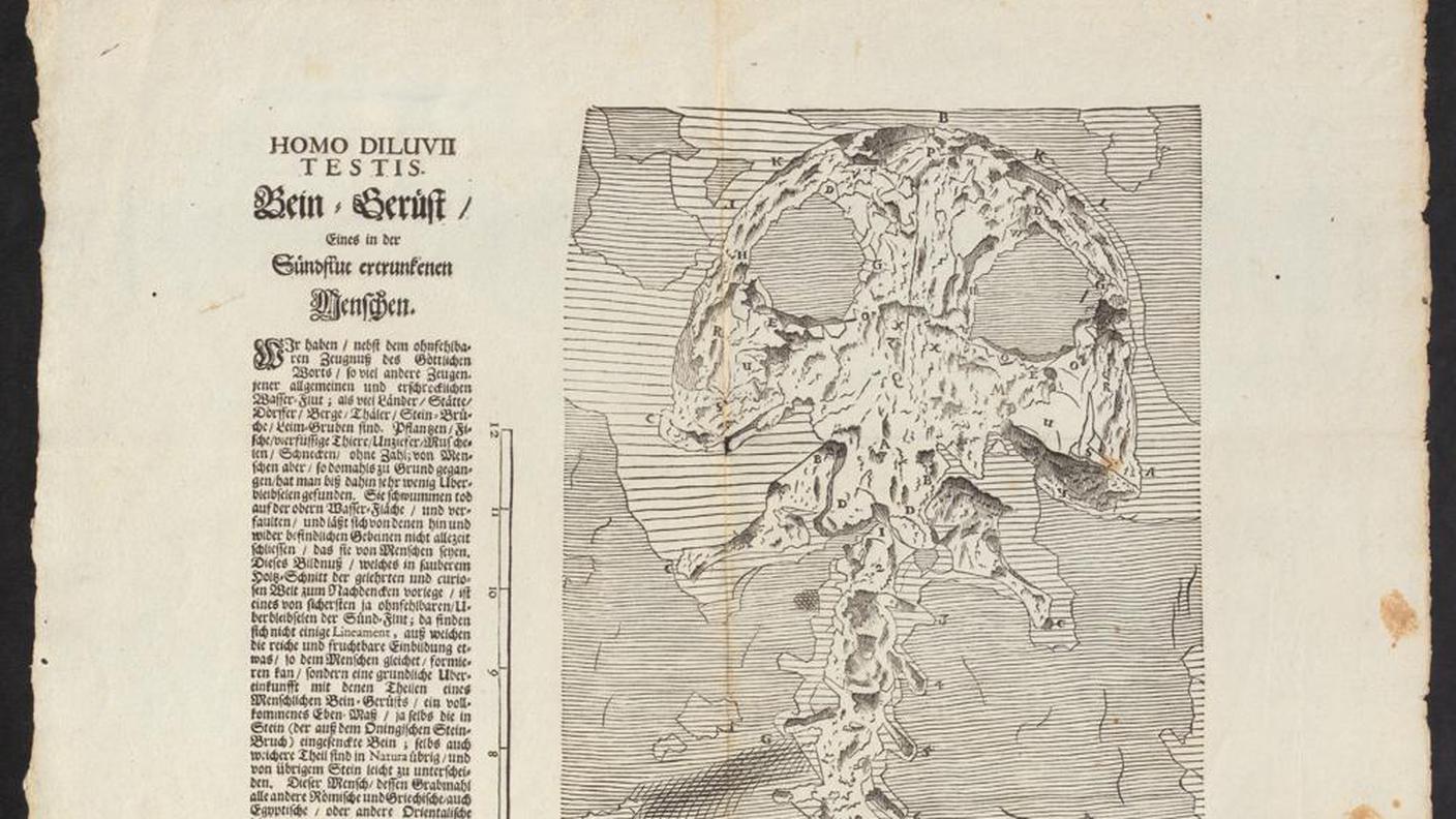 Il più antico fossile del mondo