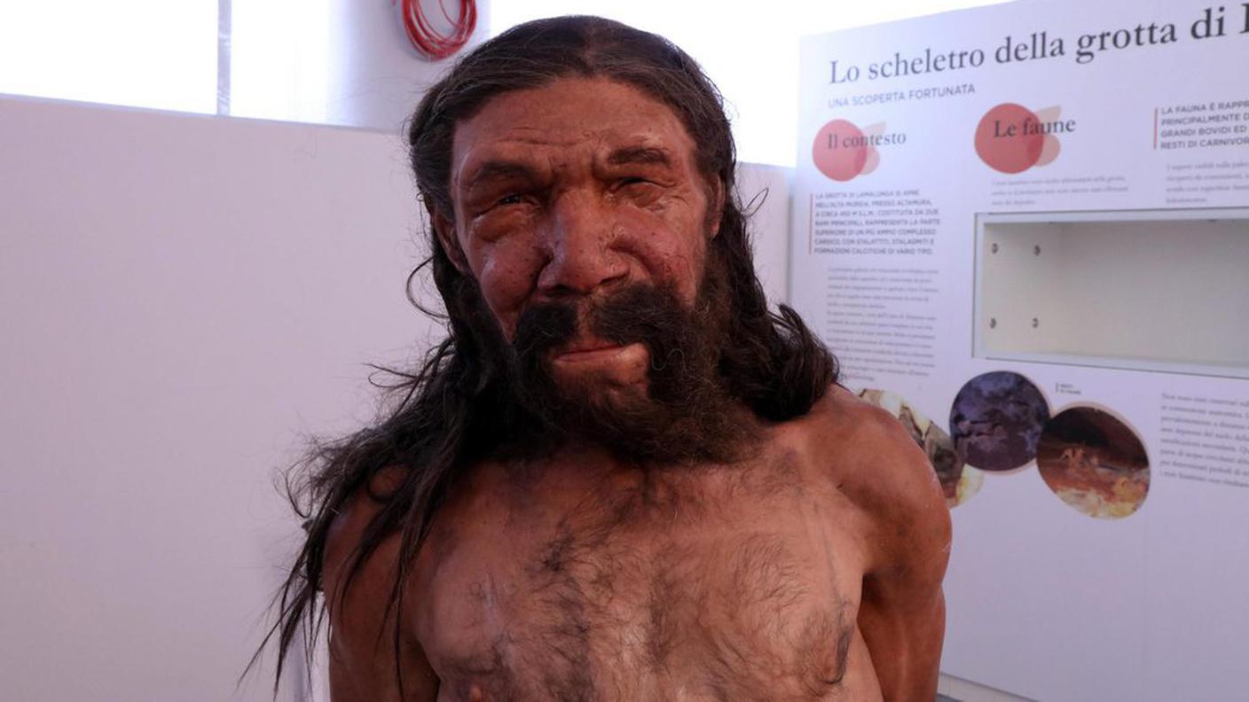 Uomo di Neanderthal altamuriano