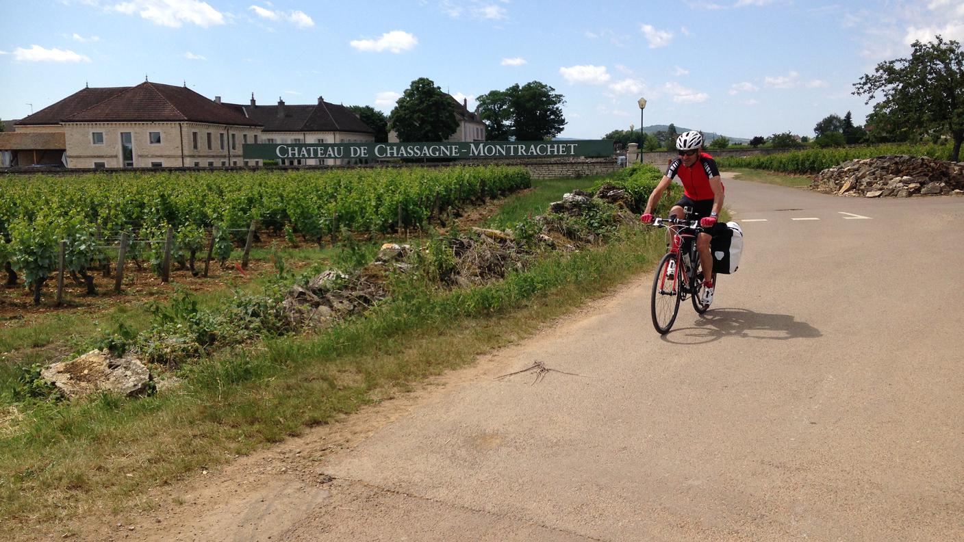 La route des vins, paradiso dei ciclisti
