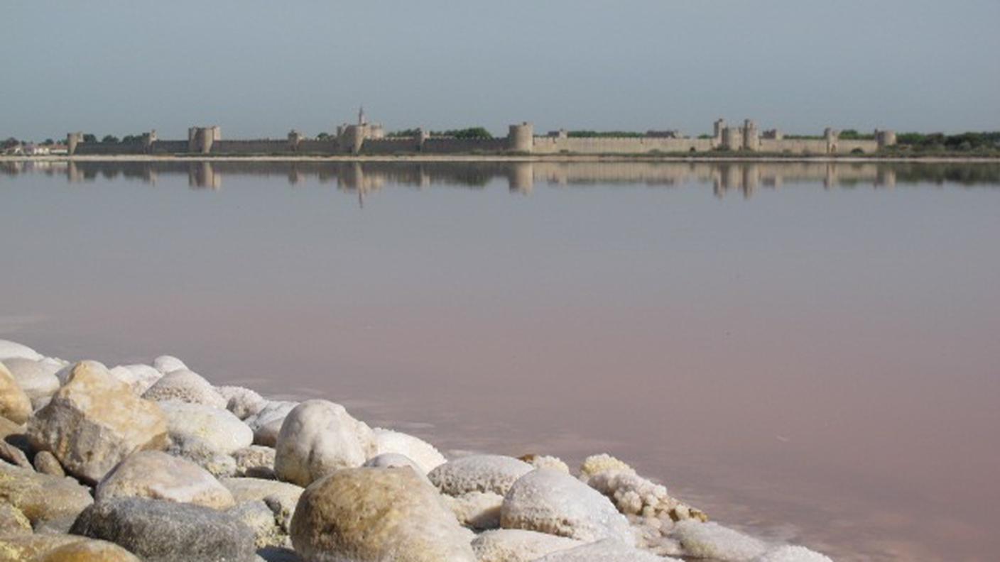 Bacino salmastro sullo sfondo Aigues-Mortes