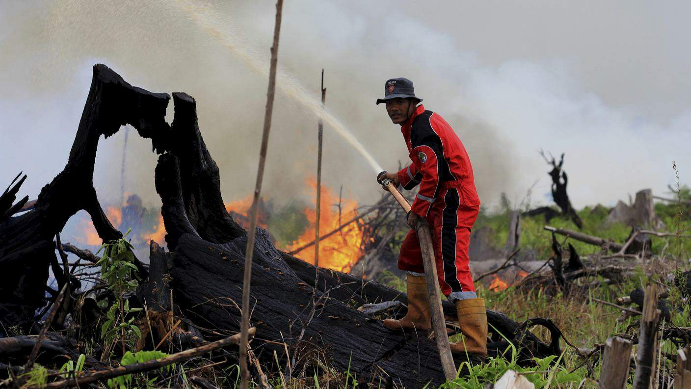 Incendio in Indonesia