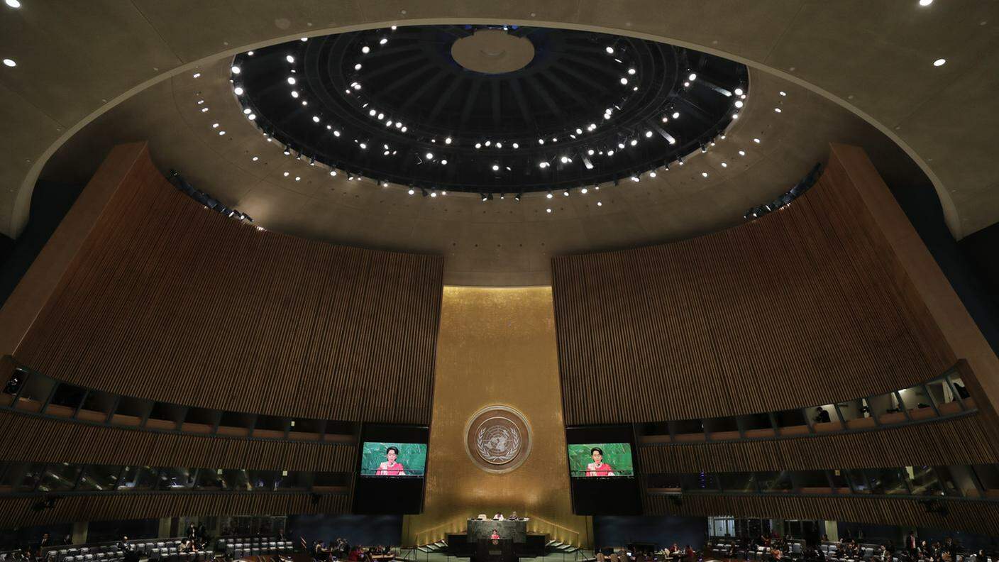 Assemblea delle Nazioni Unite