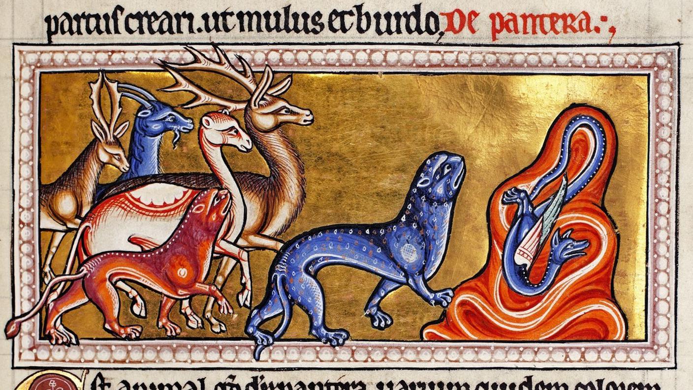 The Aberdeen Bestiary, La pantera