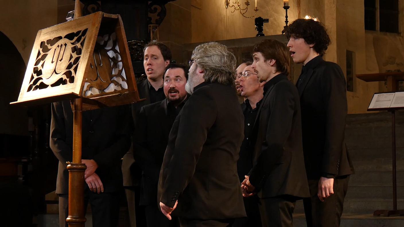 Cappella Pratensis.jpg