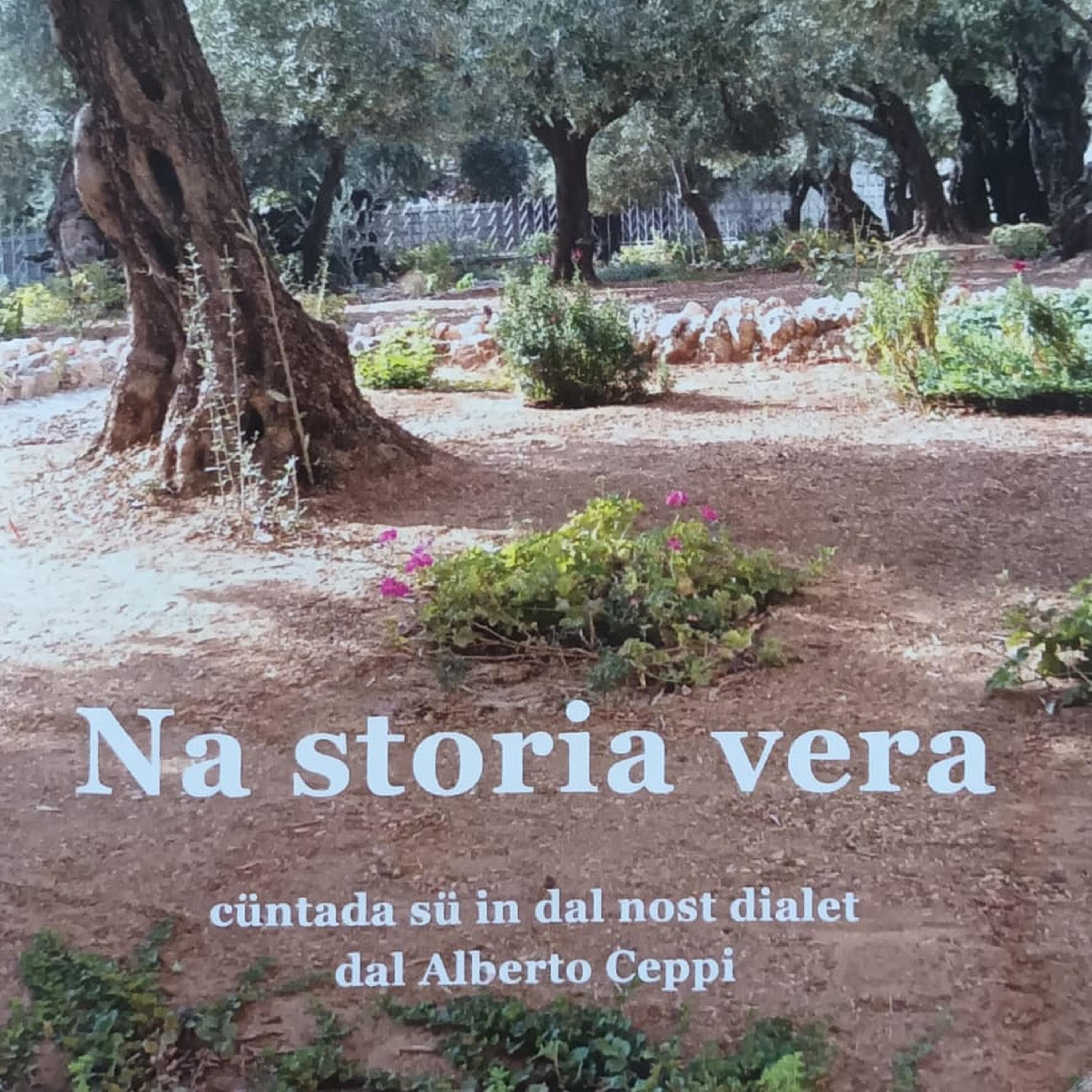 Vangelo in dialetto: una storia per tutti episode artwork