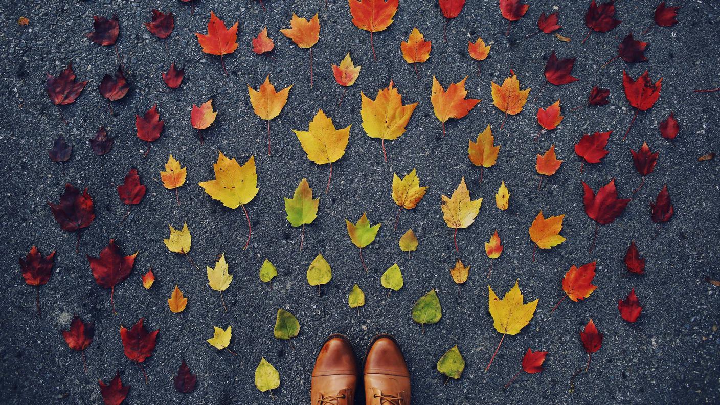 cambiamento, foglie autunno.jpg