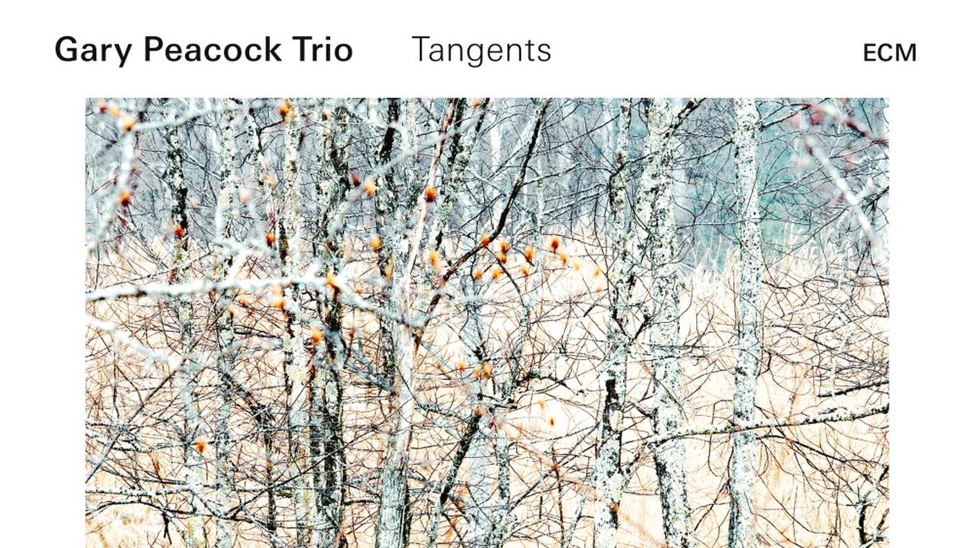 "Spartacus" di Gary Peacock Trio, ECM Records (dettaglio di copertina)