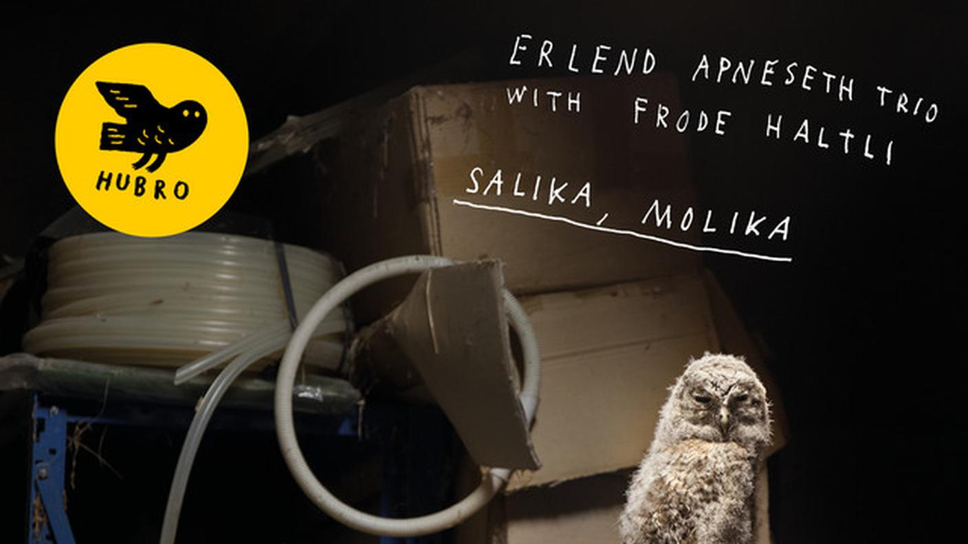 "Mor Song" di Erlend Apneseth Trio with Frode Haltli, Hubro (dettaglio di copertina)