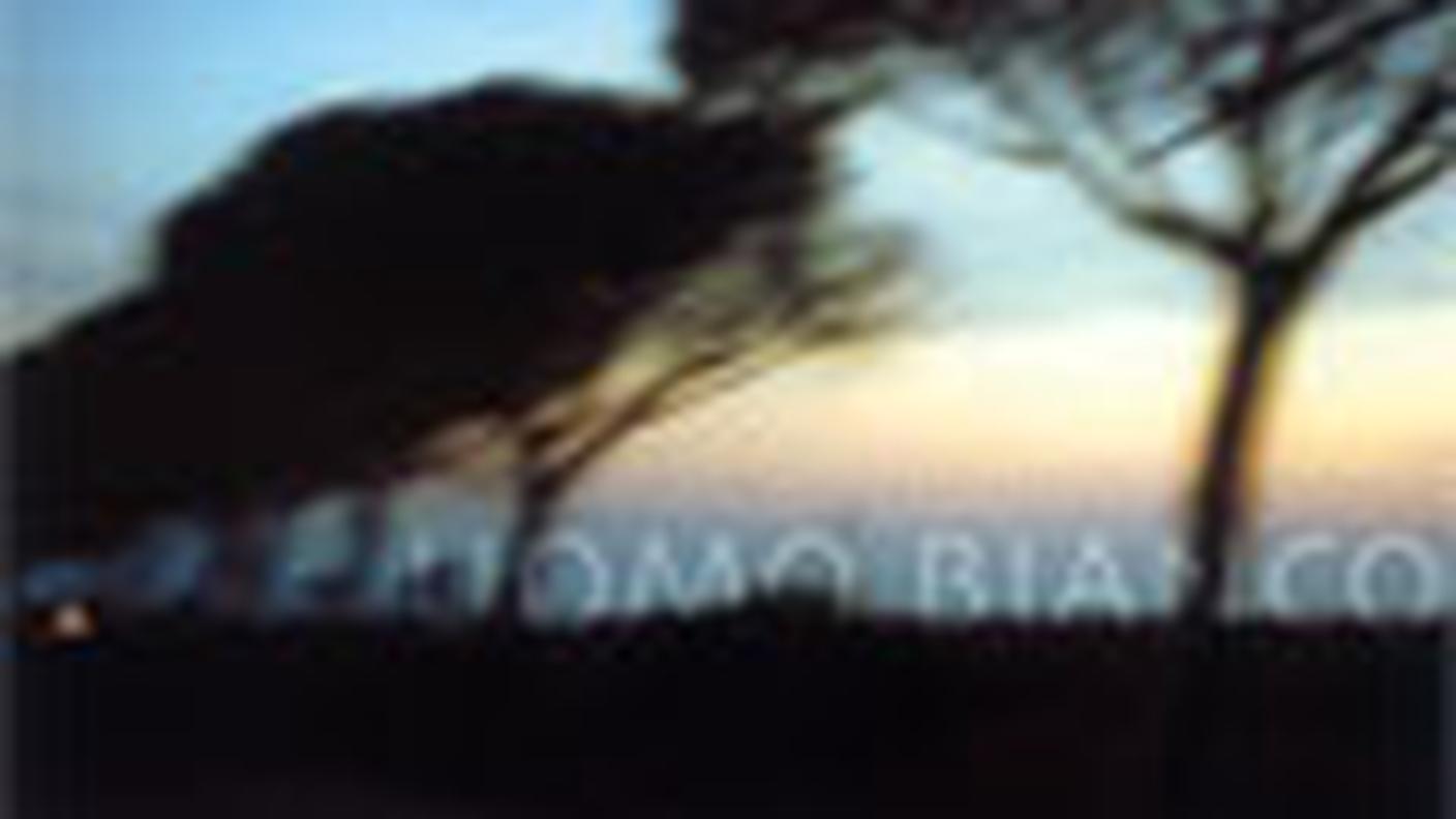 "Long time" di Sandro Schneebeli World Music Group, Brambus Records (dettaglio di copertina)