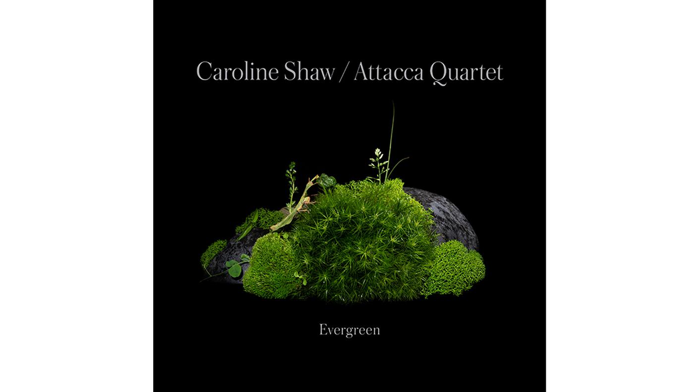 "Other Song" di Caroline Shaw & Attacca Quartet, Nonesuch Records (dettaglio di copertina)