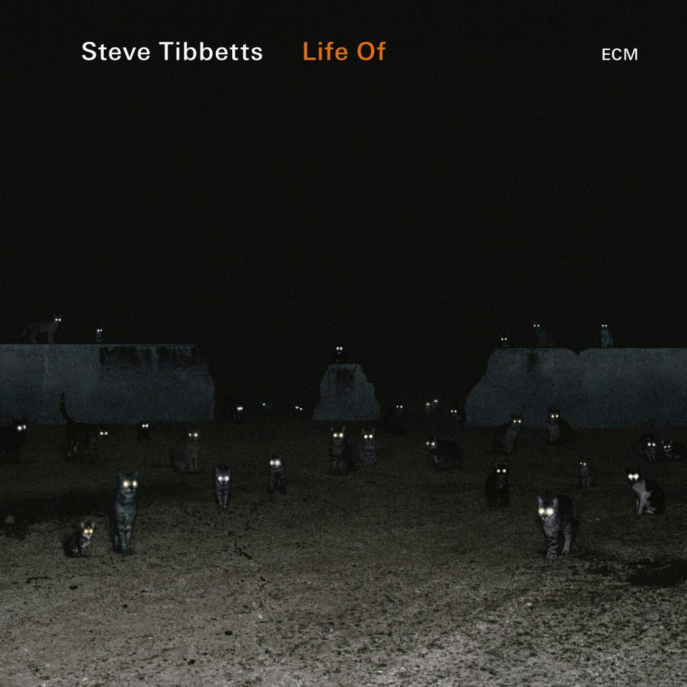 "Life of Lowell" di Steve Tibbetts, ECM Records (dettaglio di copertina)