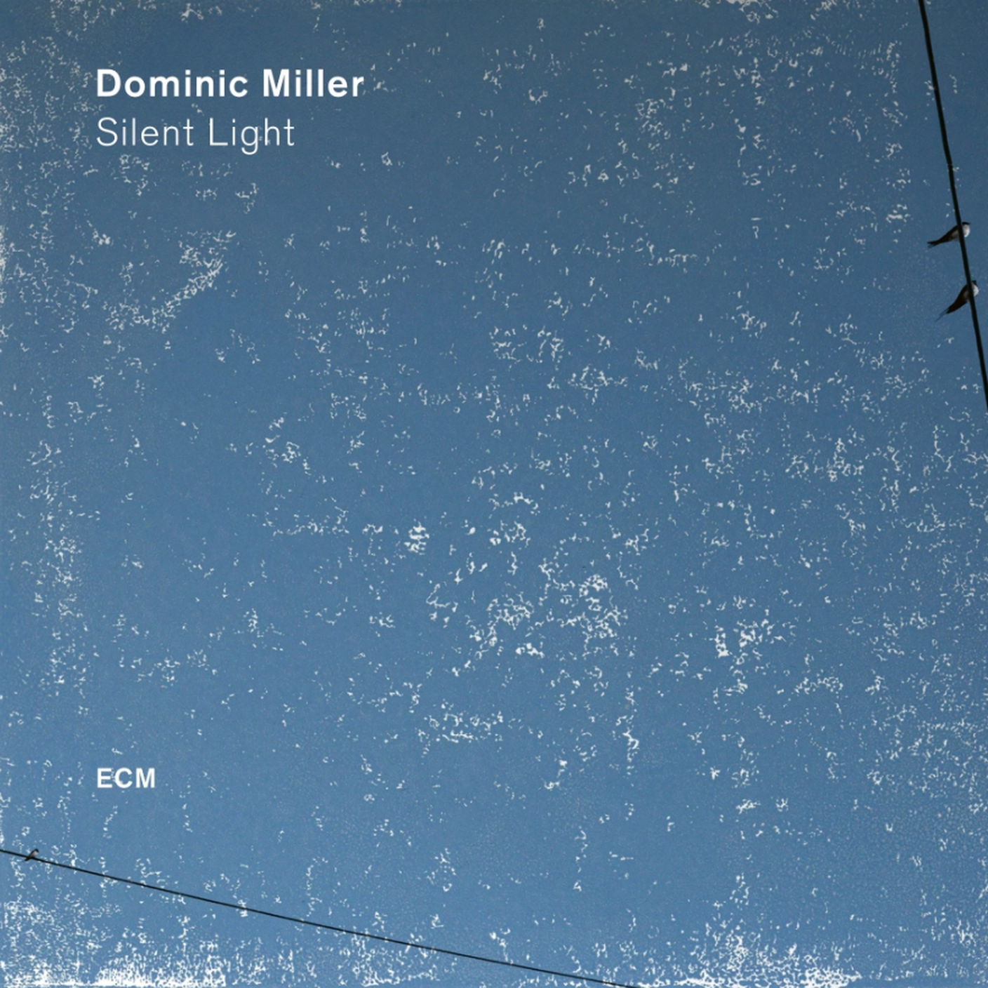 “Baden” di Dominic Miller, ECM (dettaglio di copertina)