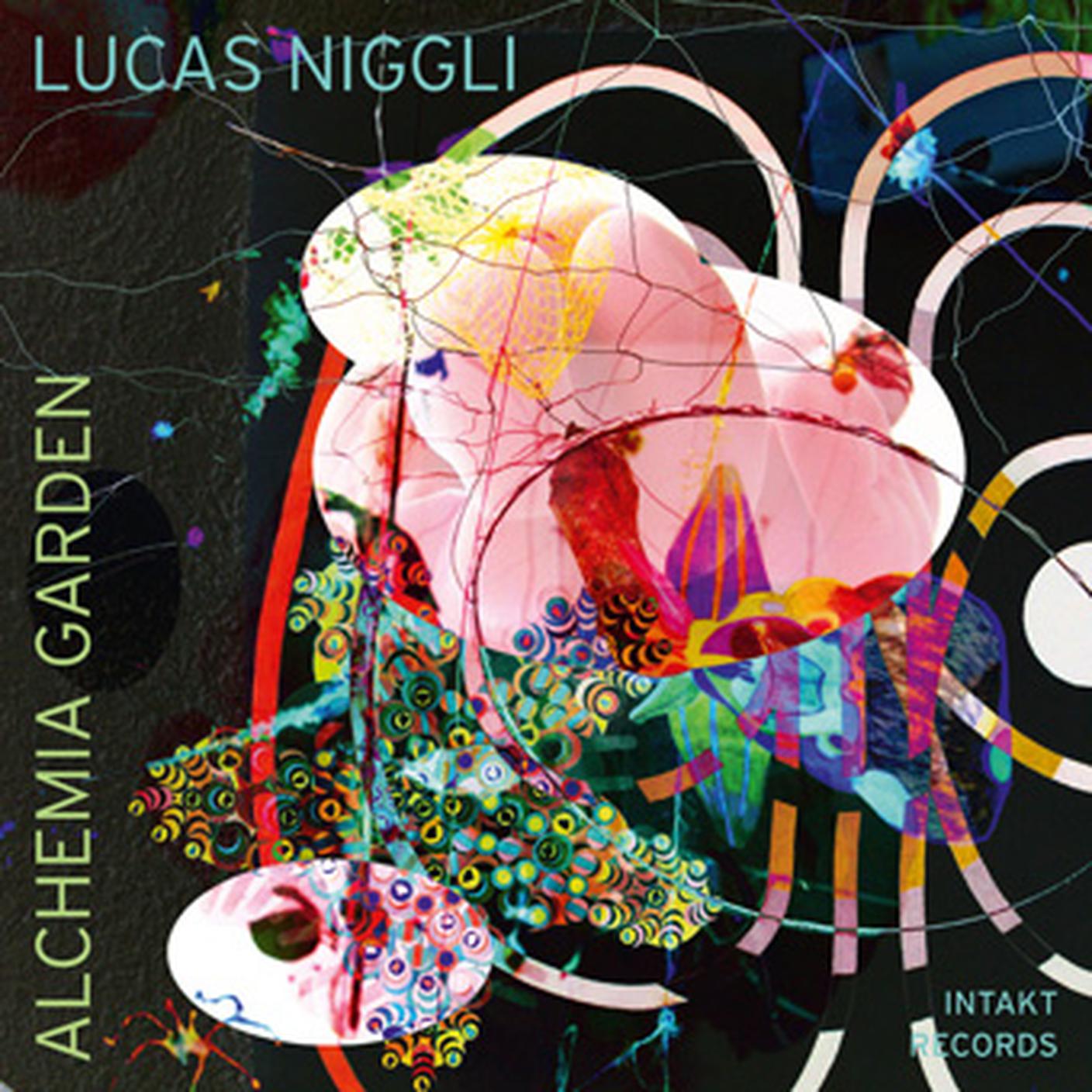 "Alchemia Garden" di Lucas Niggli, Intakt Records (dettaglio di copertina)