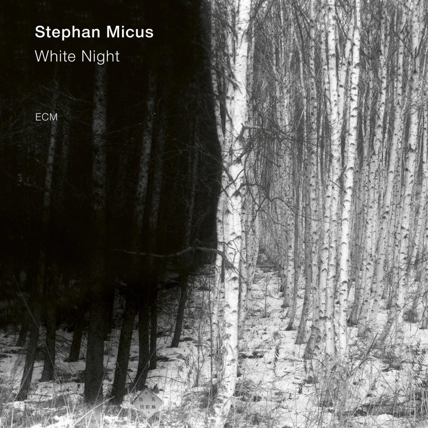 "The Poet" di Stephan Micus, ECM Records (dettaglio di copertina)
