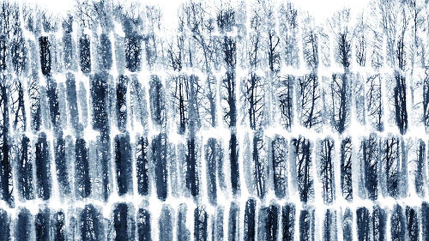 "The Forgotten Village"