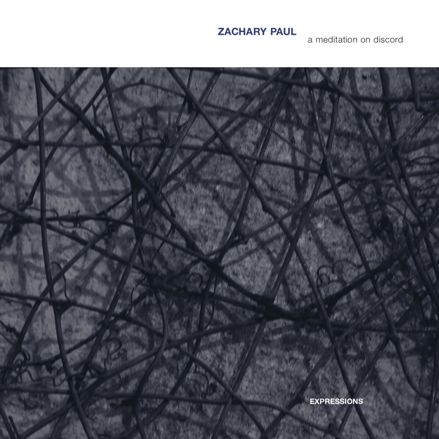 Zachary Paul; "Slow Ascent"; Touch Records (dettaglio copertina)