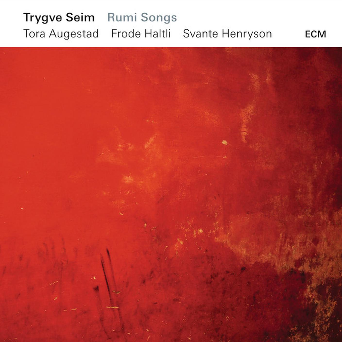 "When I See Your Face" di Trygve Seim, ECM Records (dettaglio di copertina)