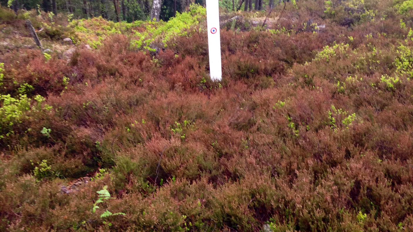 Campo di battaglia Le Linge