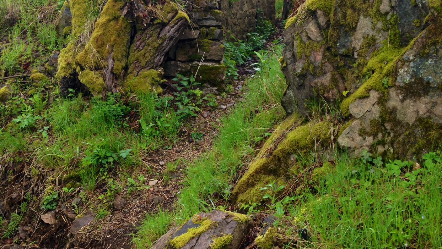 Una delle numerose trincee