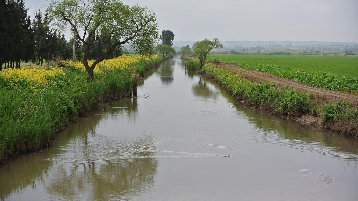 Il Giordano diventa un canale dove prima del 1953 c’era una zona acquitrinosa