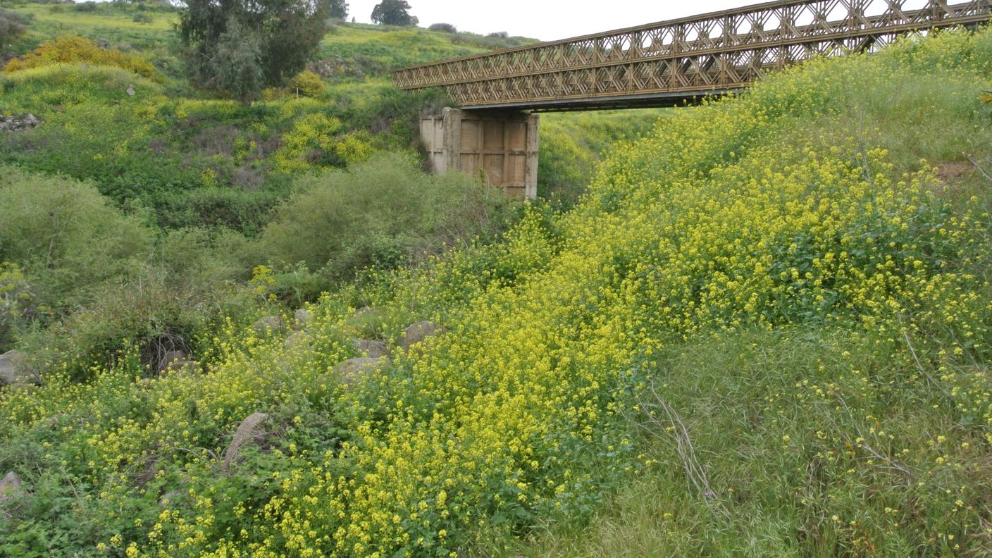 Vecchia strada verso la Siria al ponte di Gadot