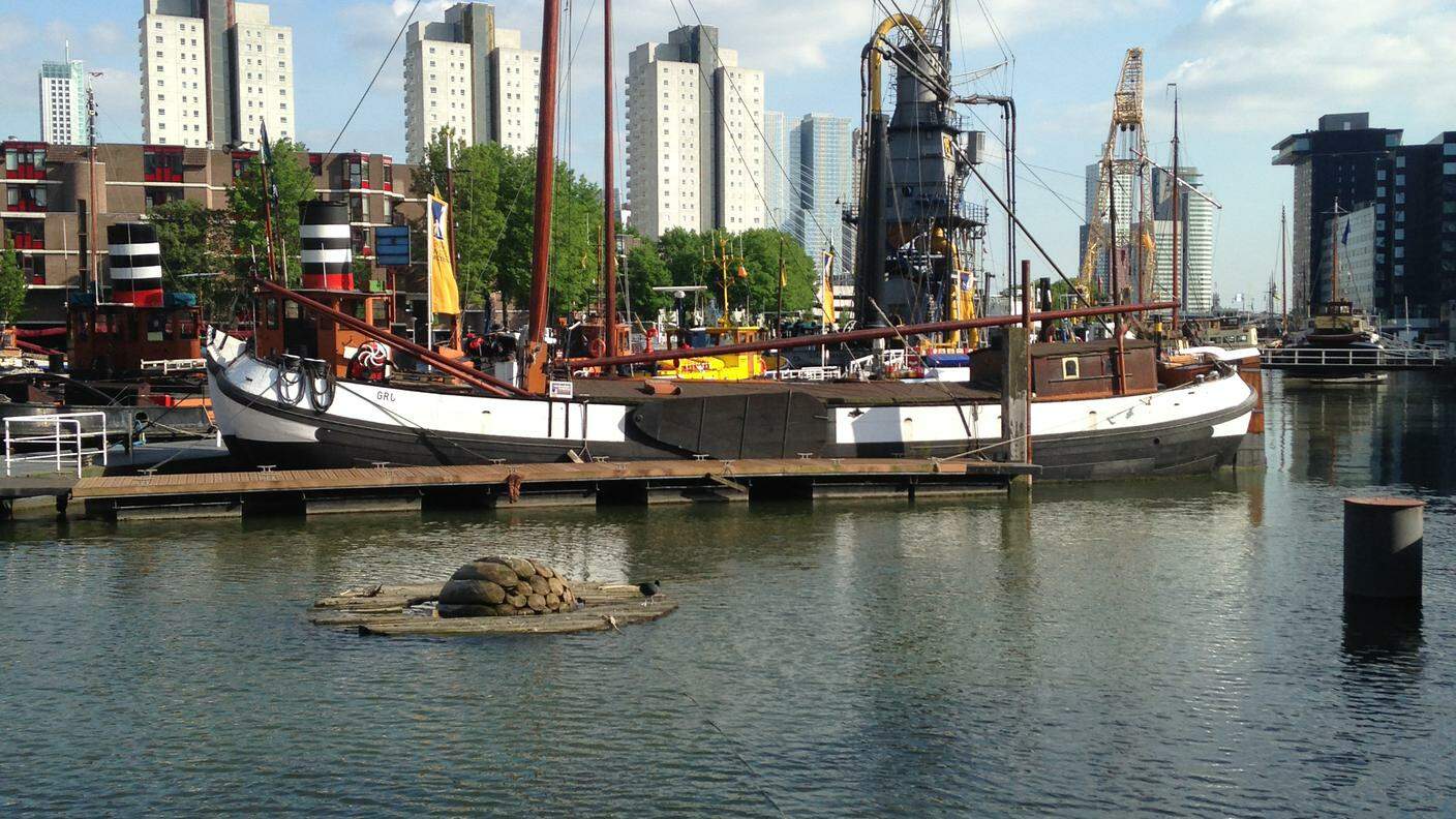 Il vecchio porto di Rotterdam, foto RSI Brigitte Schwarz.JPG
