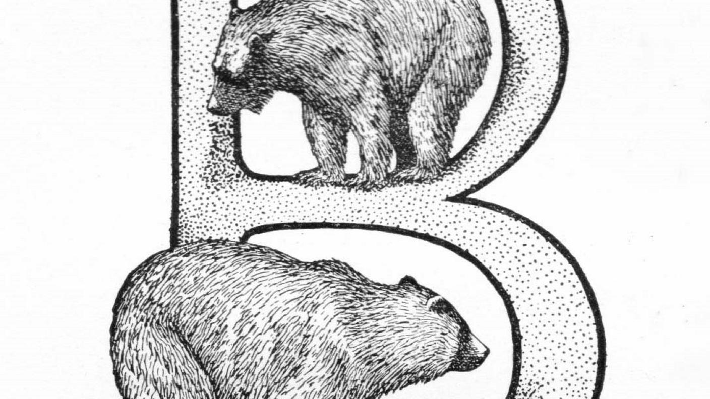 lettera e orso