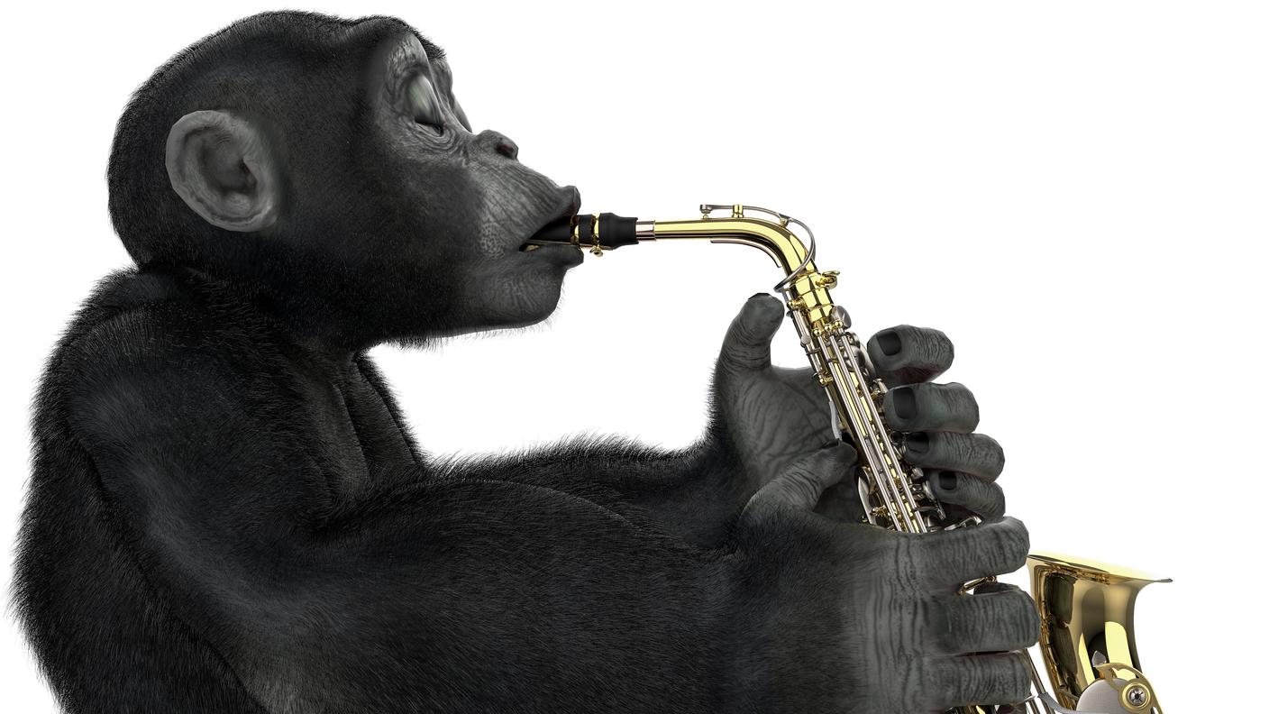 Scimpanzè capacità musicale