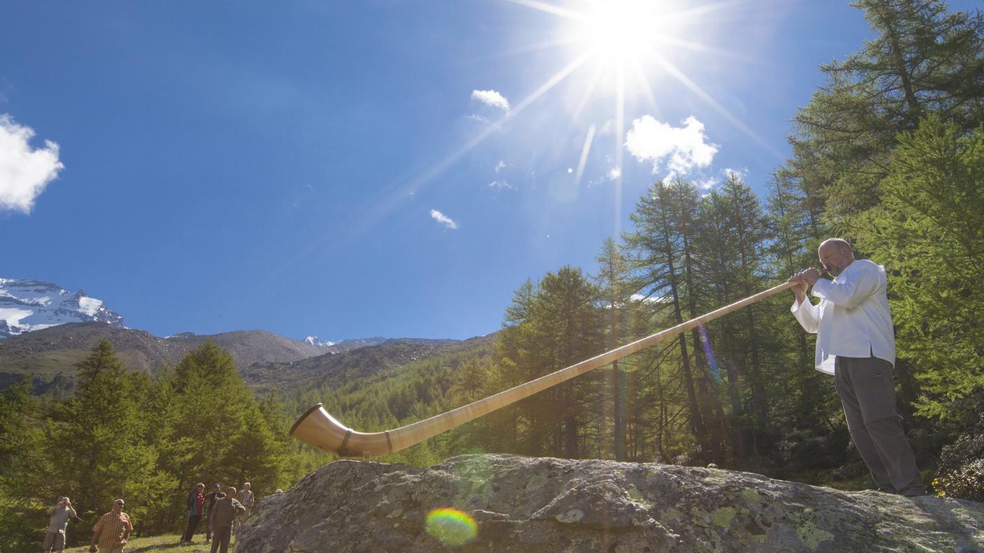Corno delle alpi