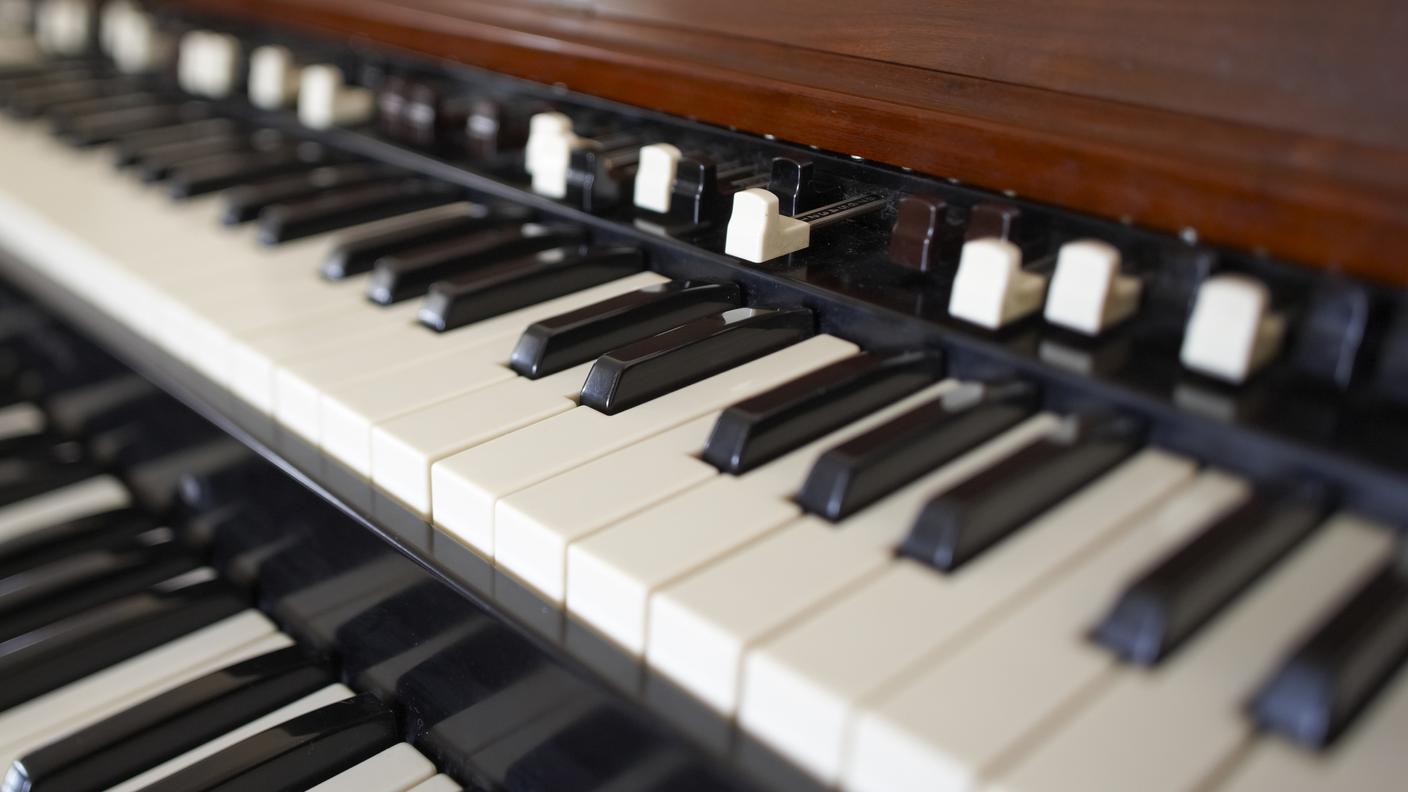Organo Hammond
