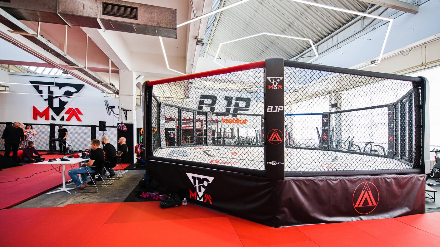 MMA