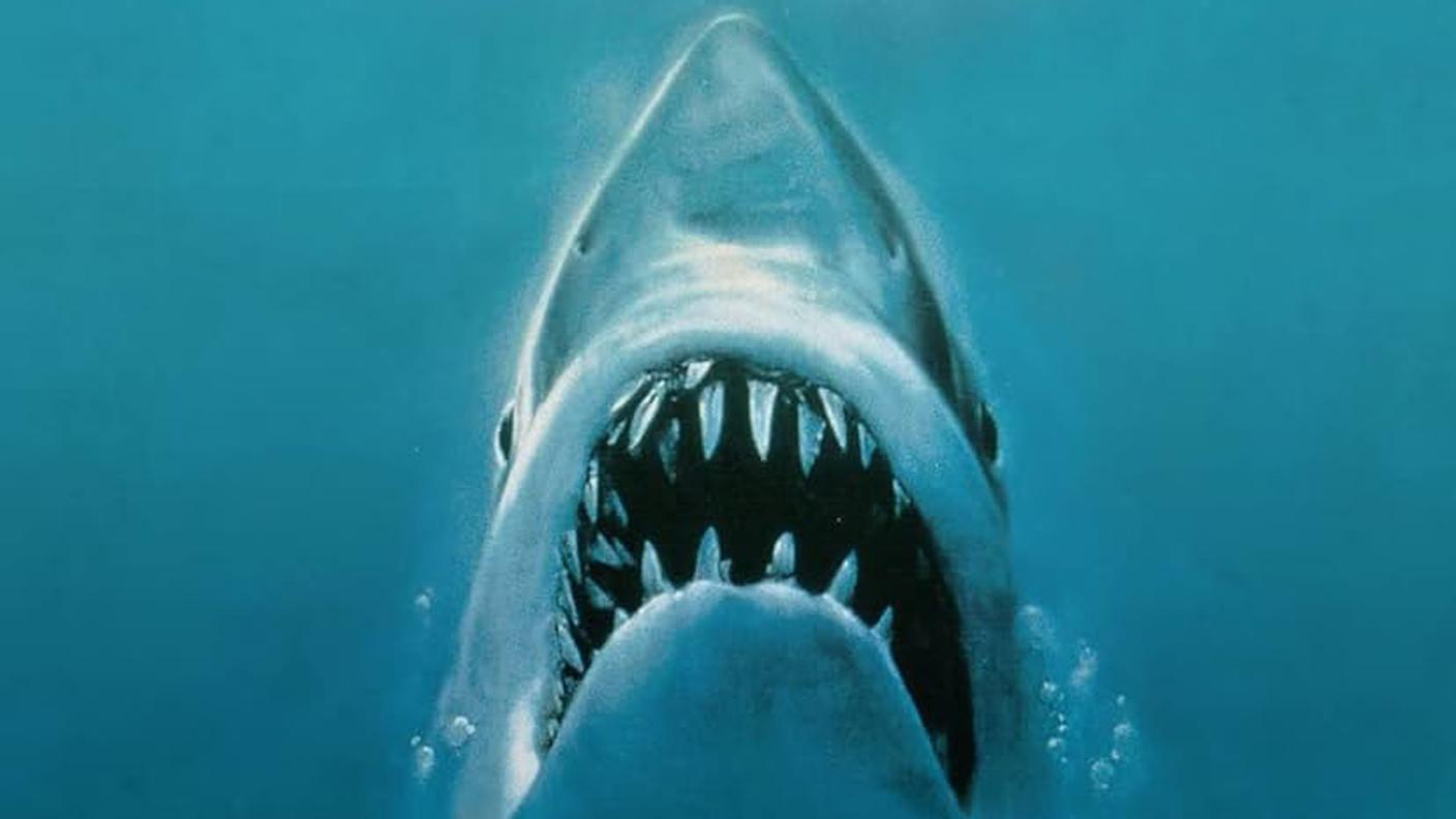 JAWS poster lo squalo.jpg