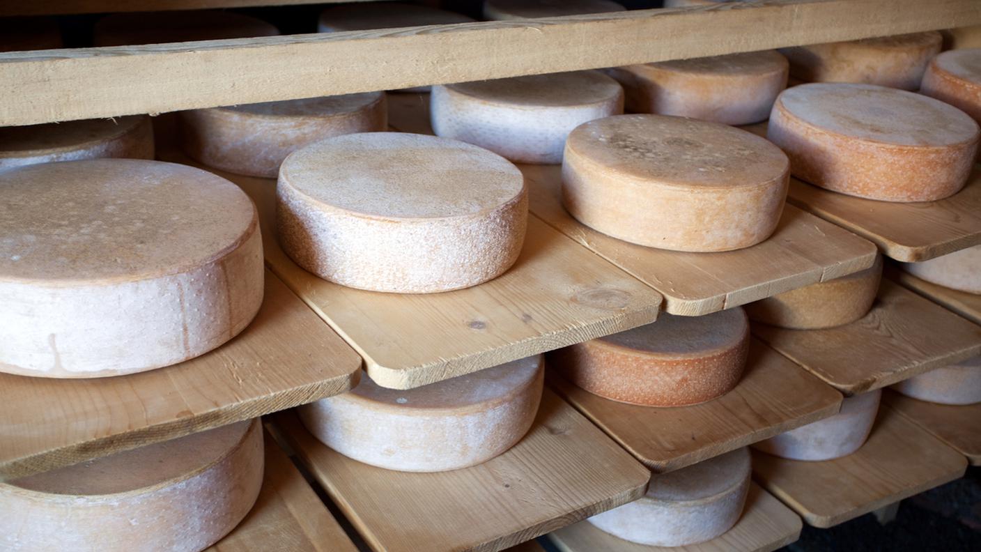 formaggio svizzera, stagionatura