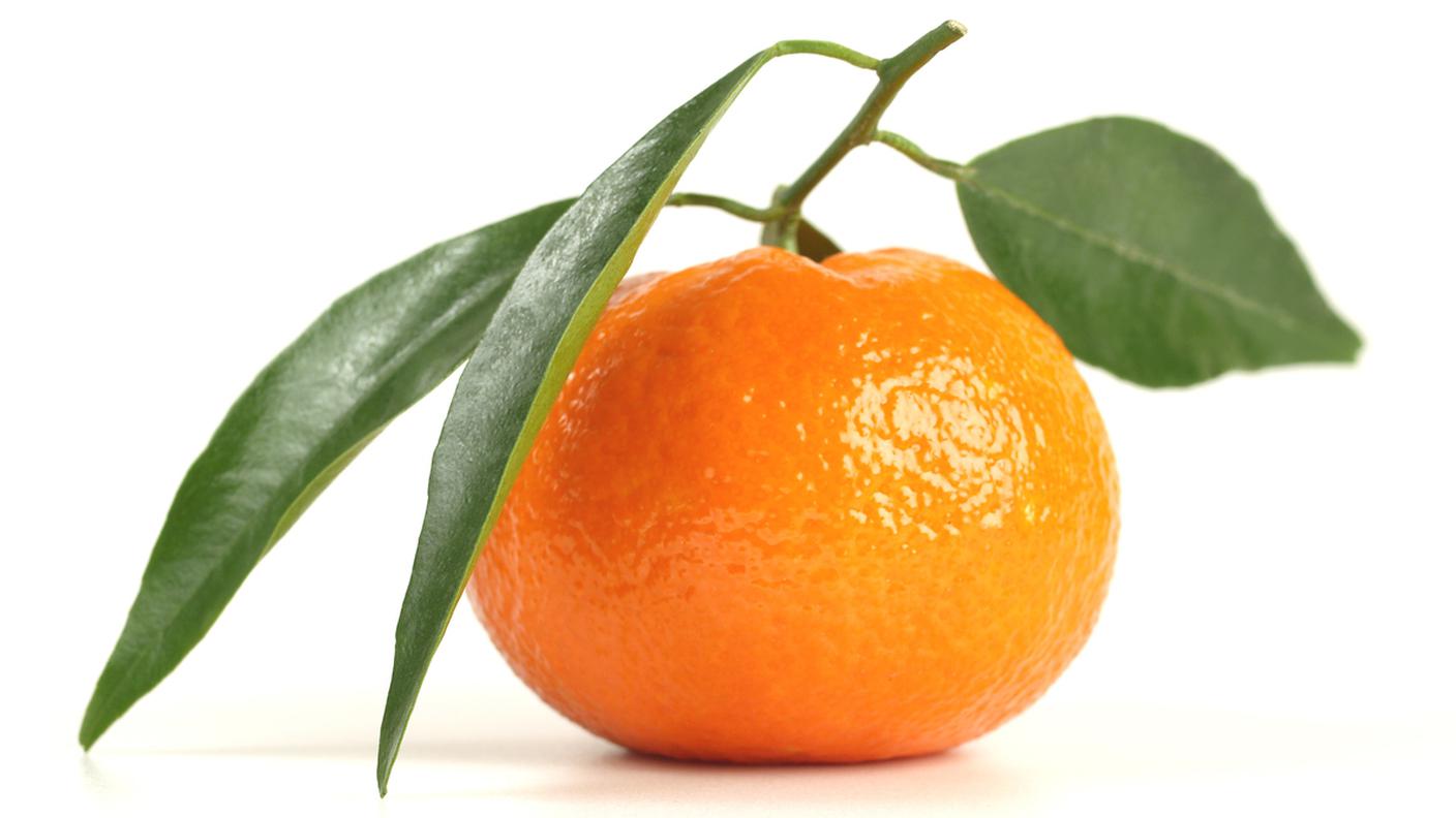 Mandarino