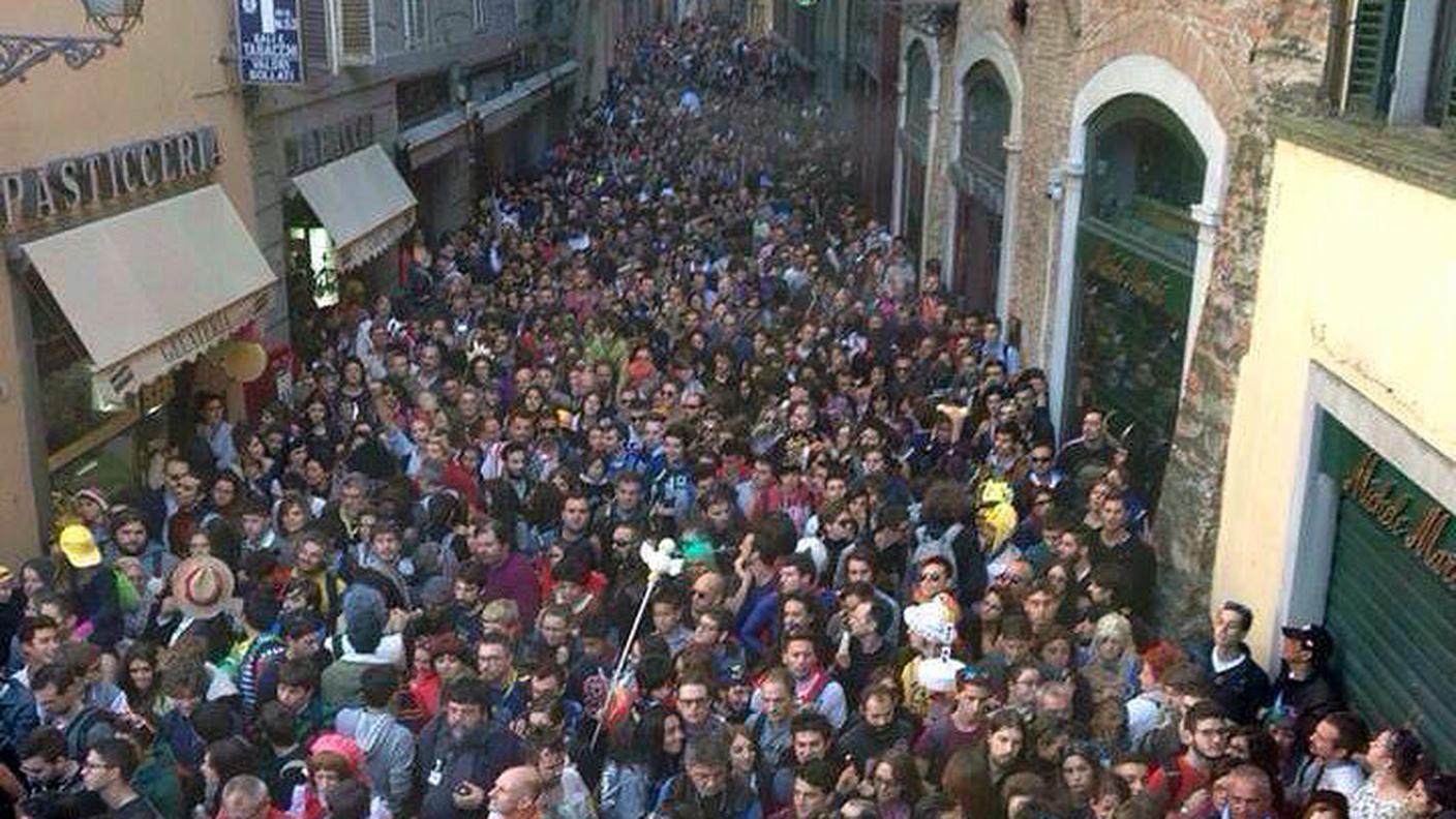 lucca-cropped.jpg
