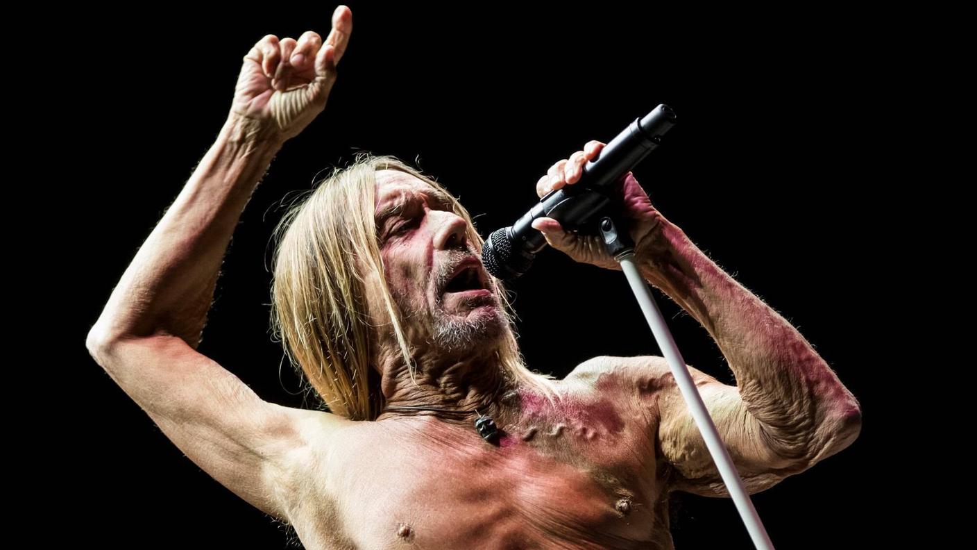 Iggy Pop