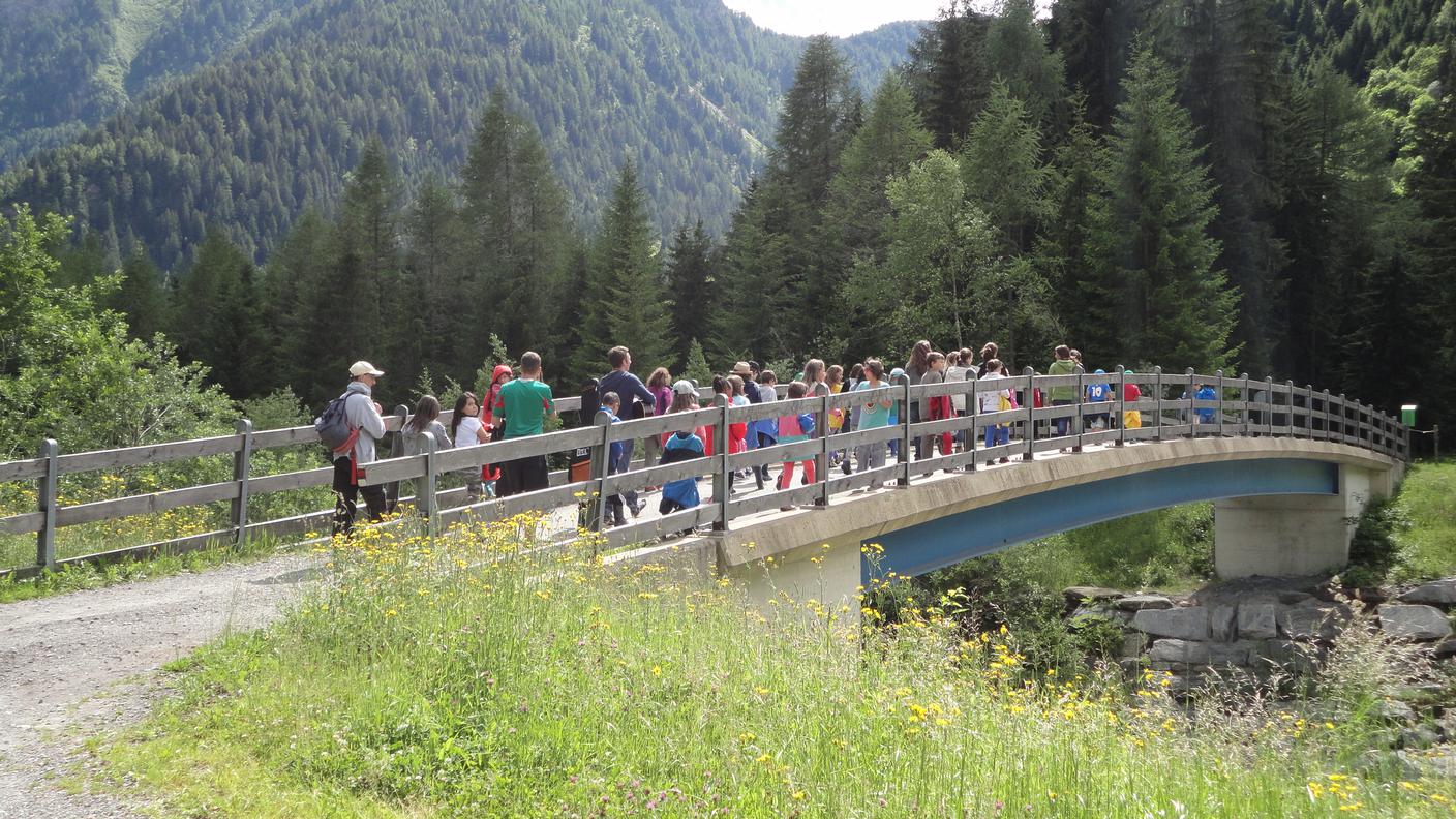 On the bridge