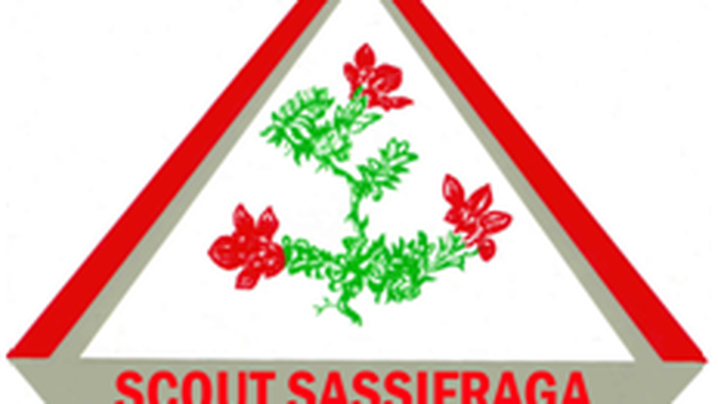 Sezione Scout Sassifraga Vallemaggia Logo