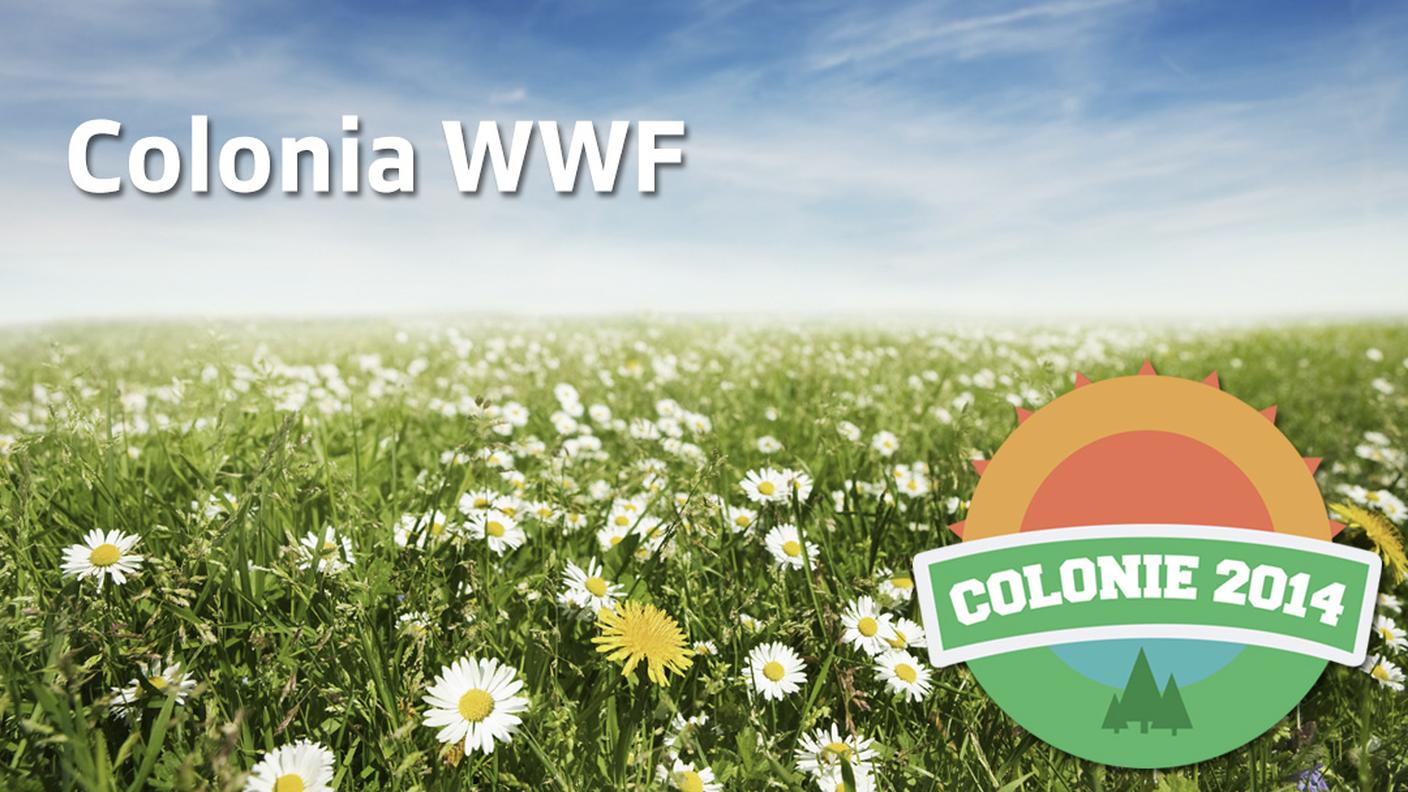 Colonie WWF - Nel regno delle fiabe