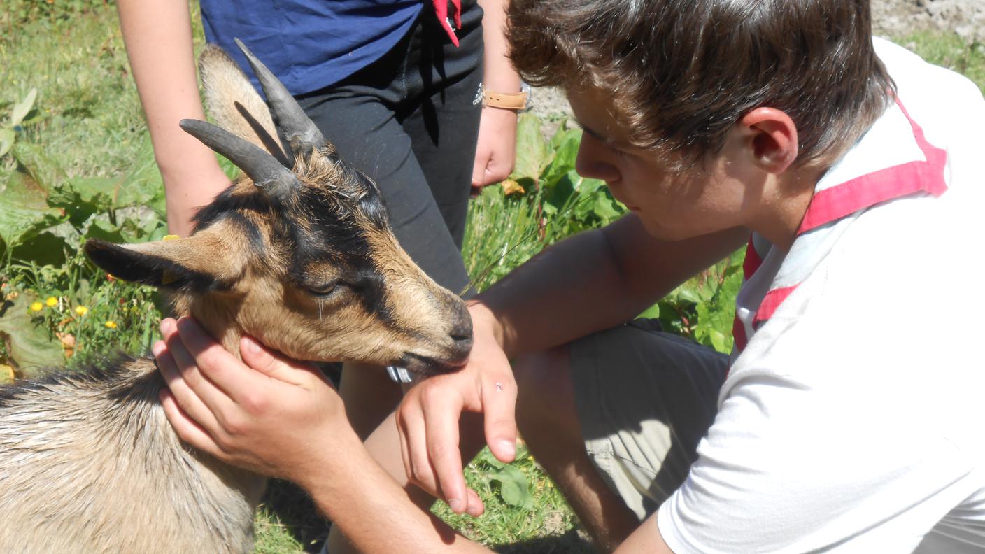 Sezione Scout Sassifraga Vallemaggia - Esploratori