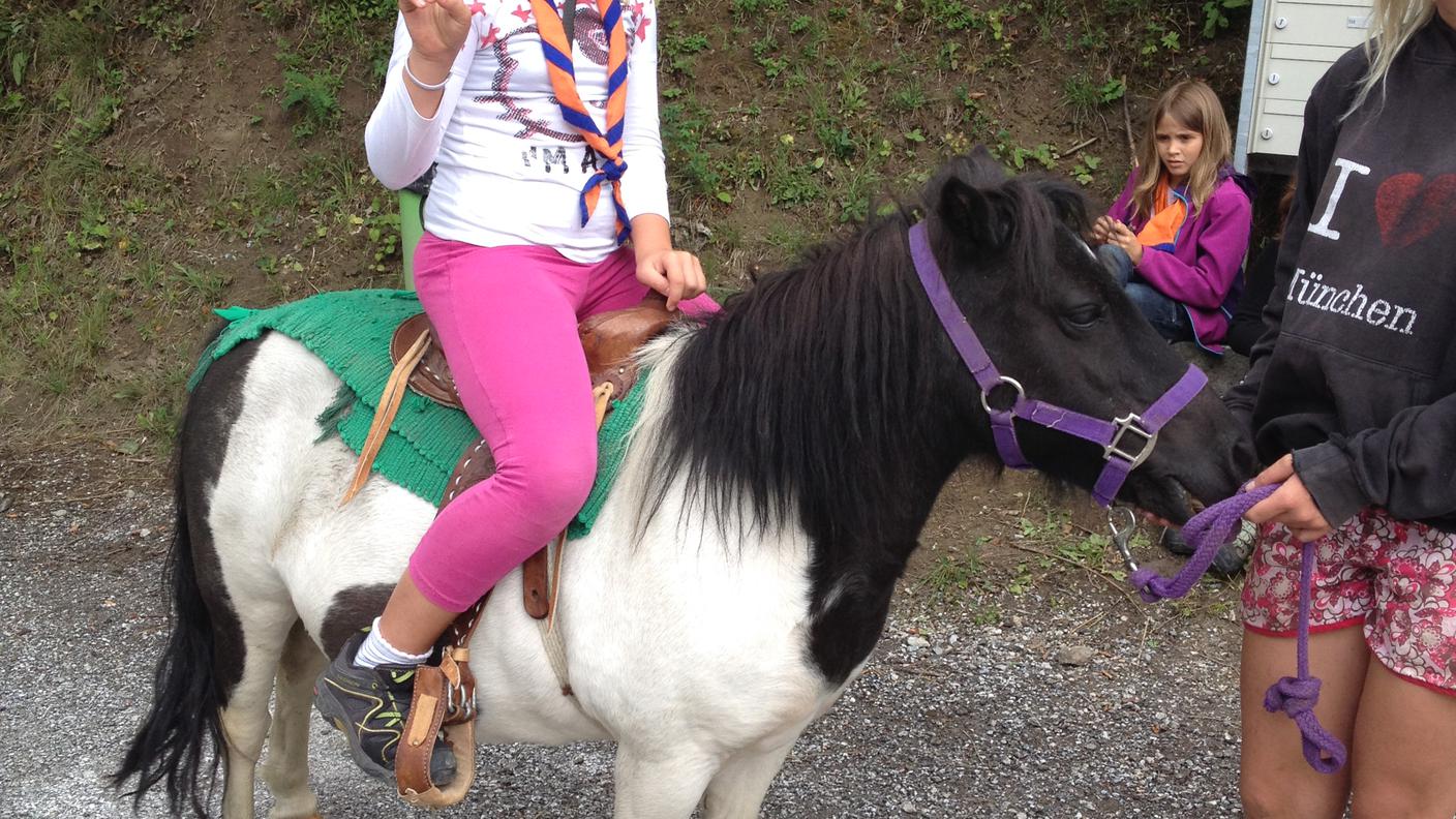 Sezione Scout Gambarogno - Muta lupetti