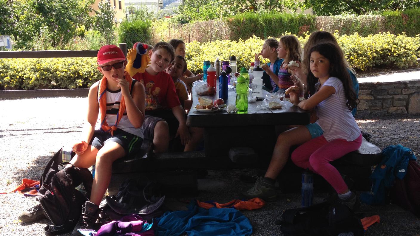 Sezione Scout Gambarogno - Muta lupetti