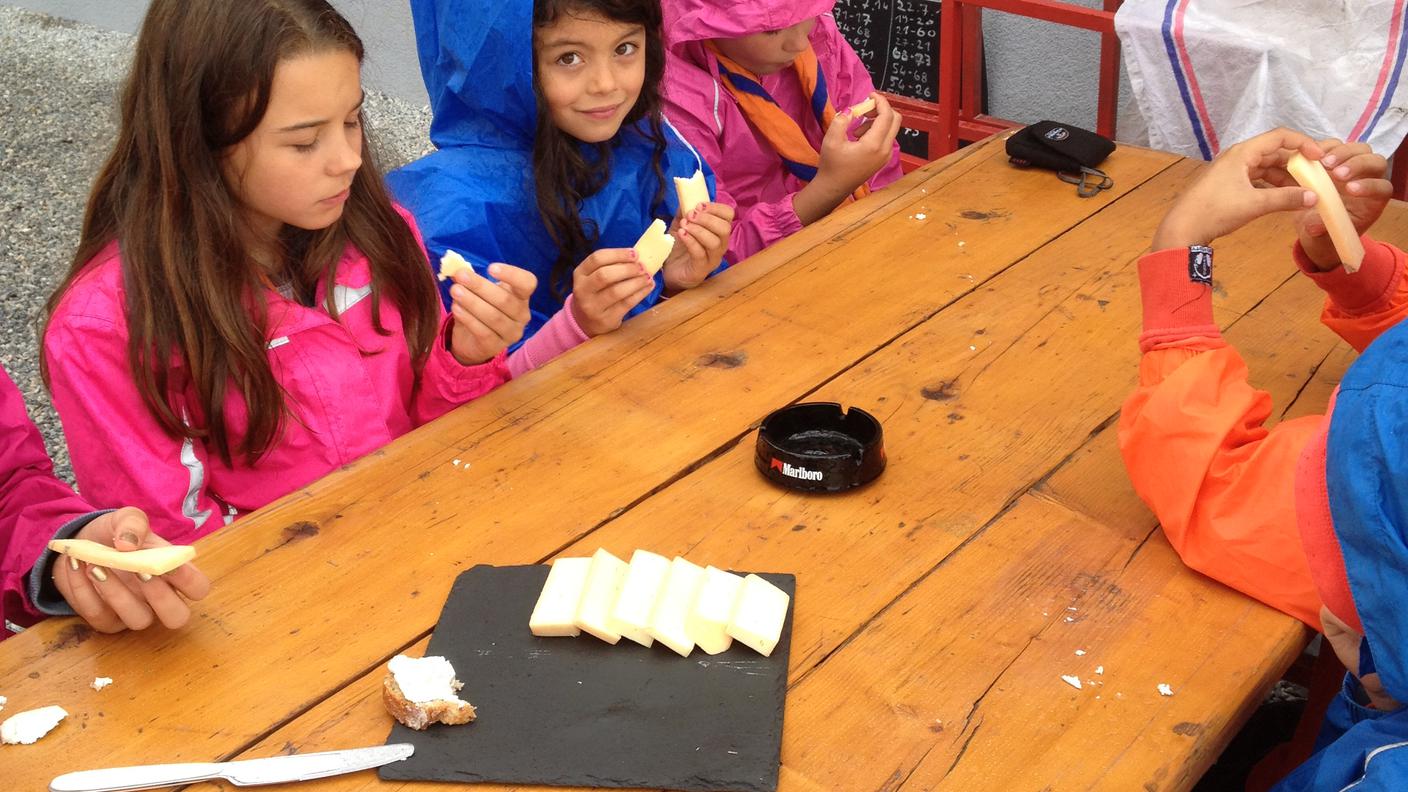 Sezione Scout Gambarogno - Muta lupetti