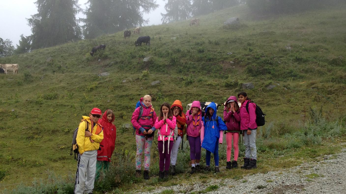 Sezione Scout Gambarogno - Muta lupetti