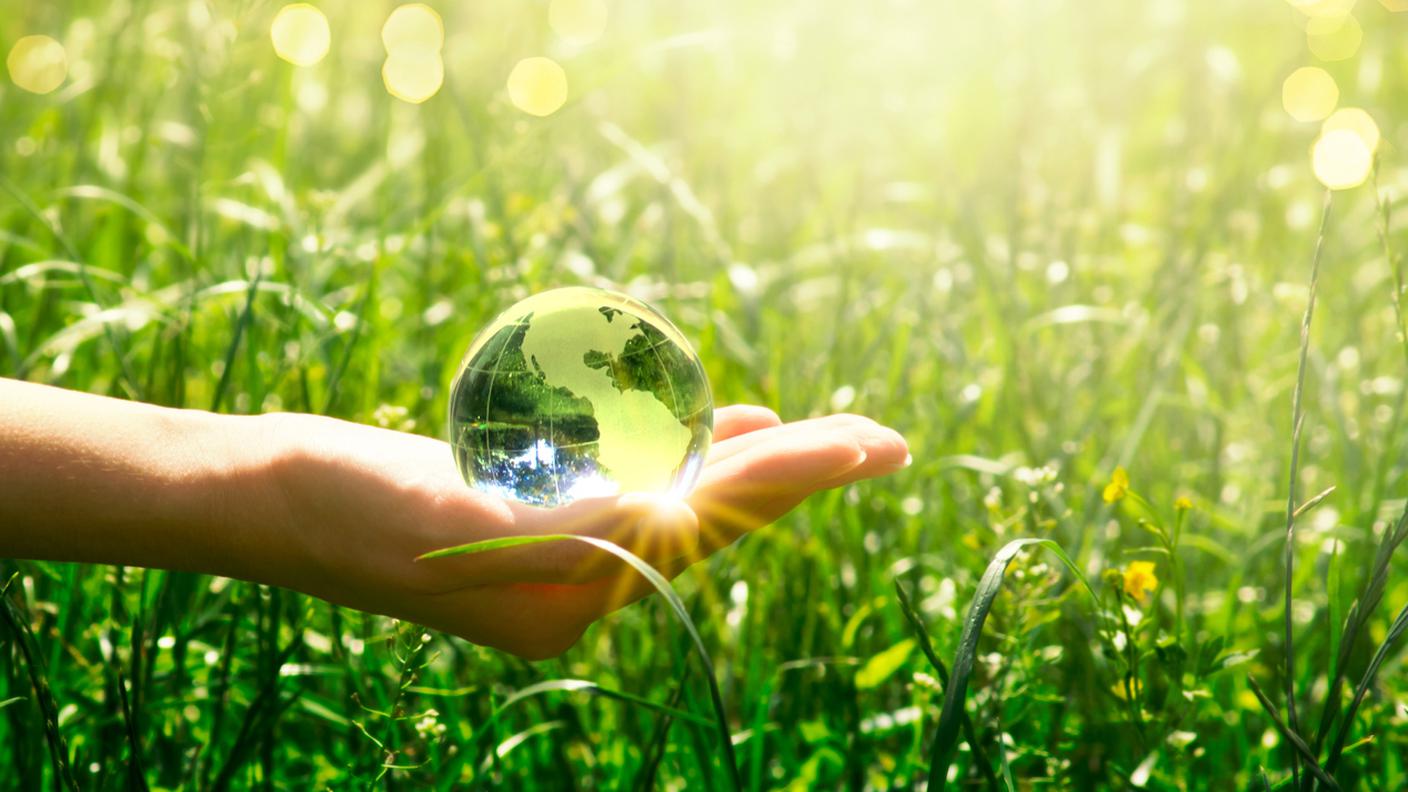 mondo natura ecologia